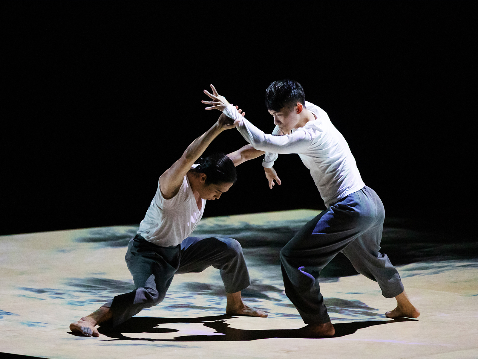 舞 x 武剧场《凝》