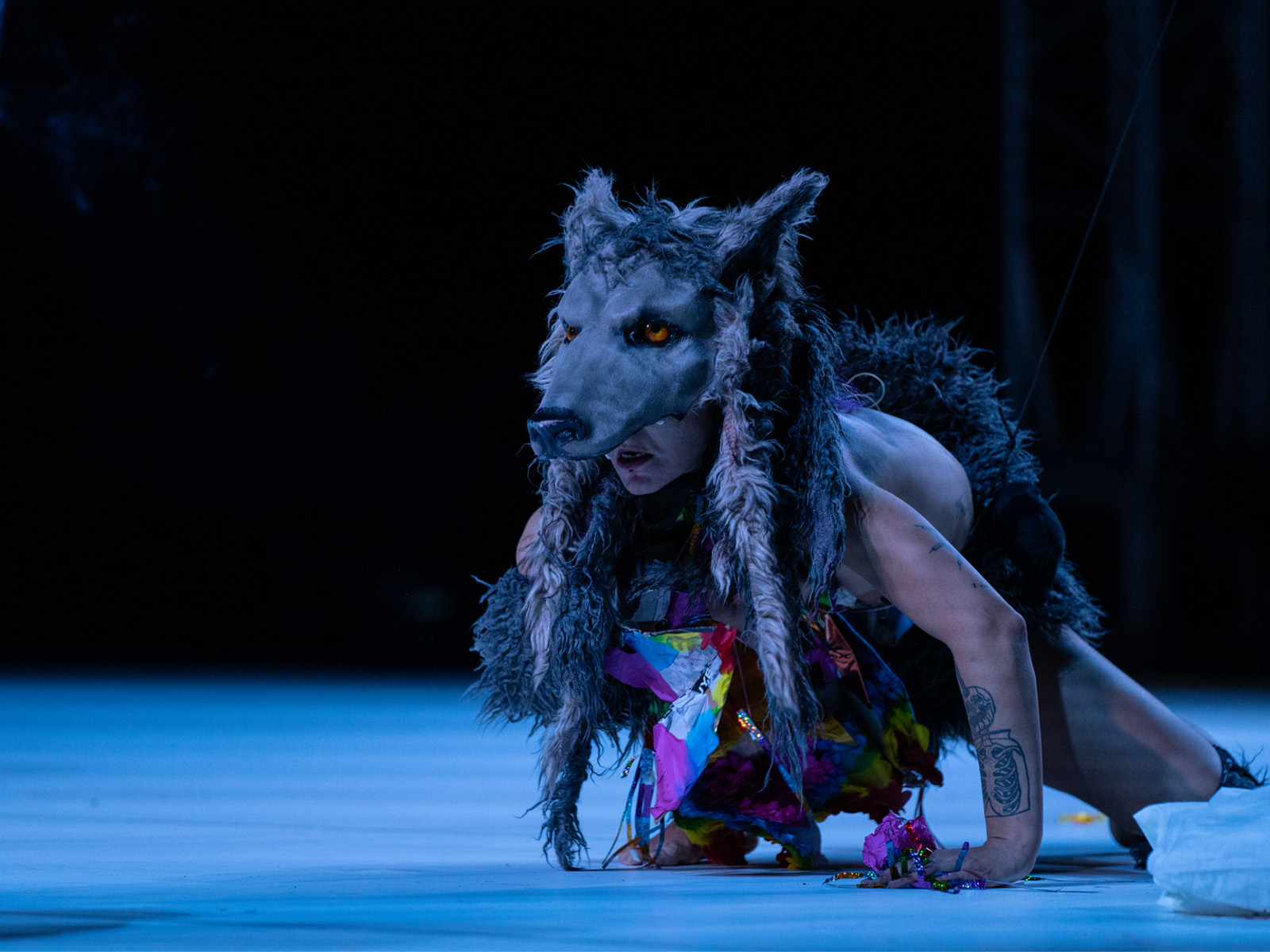 Freespace Dance 2024: Florentina Holzinger – TANZ｜13–15.12.2024｜Freespace